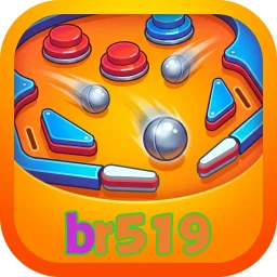 br519